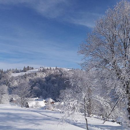 Верховинський Котедж Bukovets Bagian luar foto