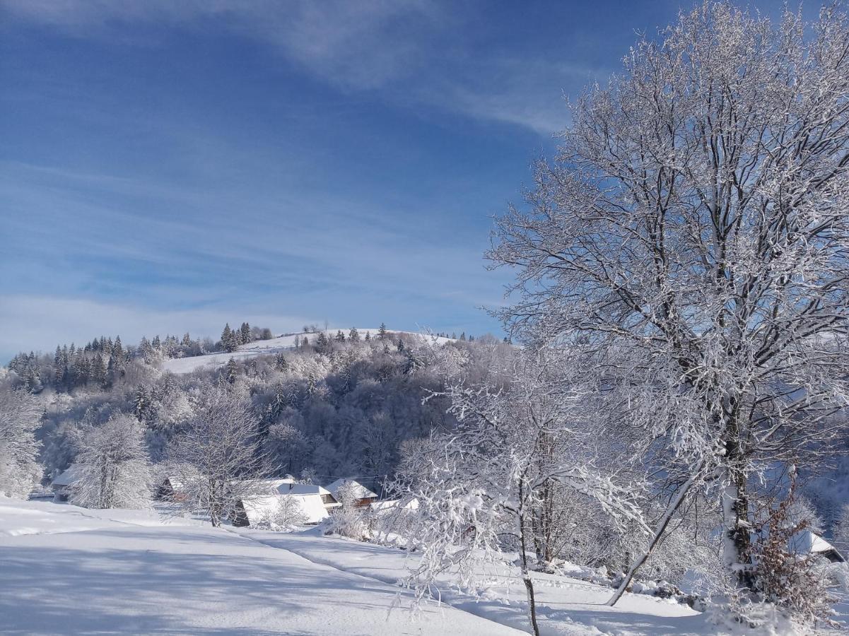 Верховинський Котедж Bukovets Bagian luar foto