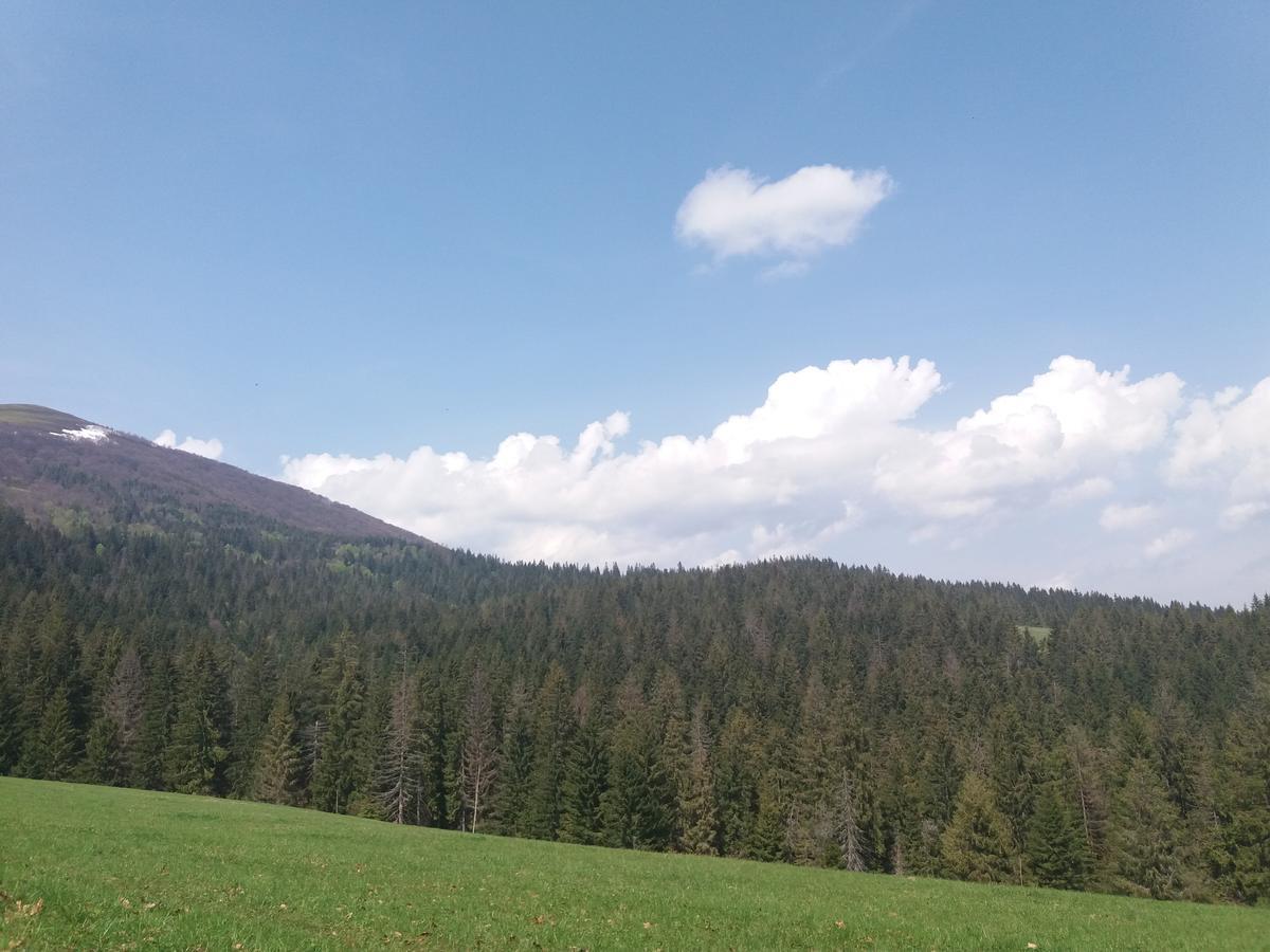 Верховинський Котедж Bukovets Bagian luar foto