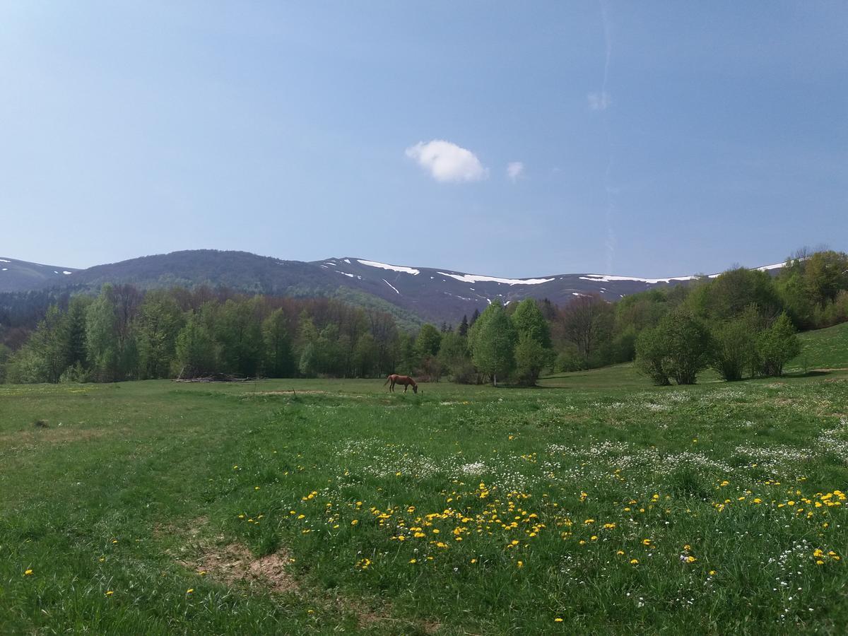 Верховинський Котедж Bukovets Bagian luar foto