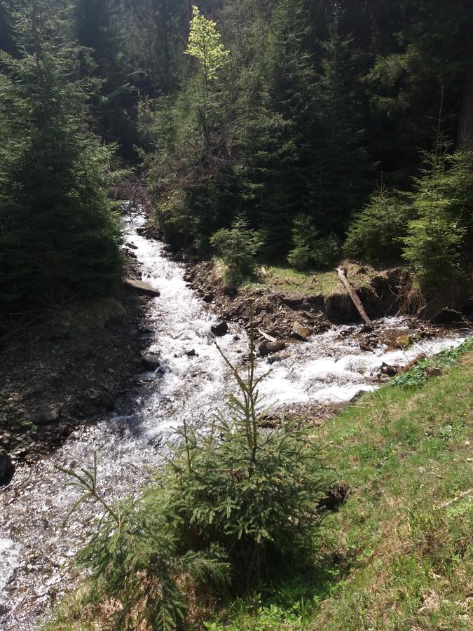 Верховинський Котедж Bukovets Bagian luar foto