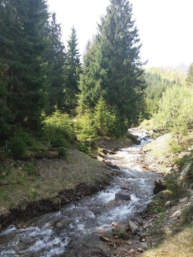 Верховинський Котедж Bukovets Bagian luar foto